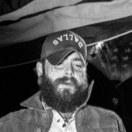 Artist Post Malone